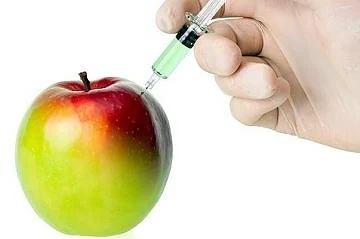 Ето с кои храни най-често ядем ГМО