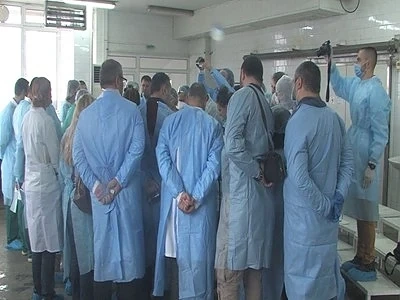 Аутопсия оневини рибарите за масовата смърт на делфини 