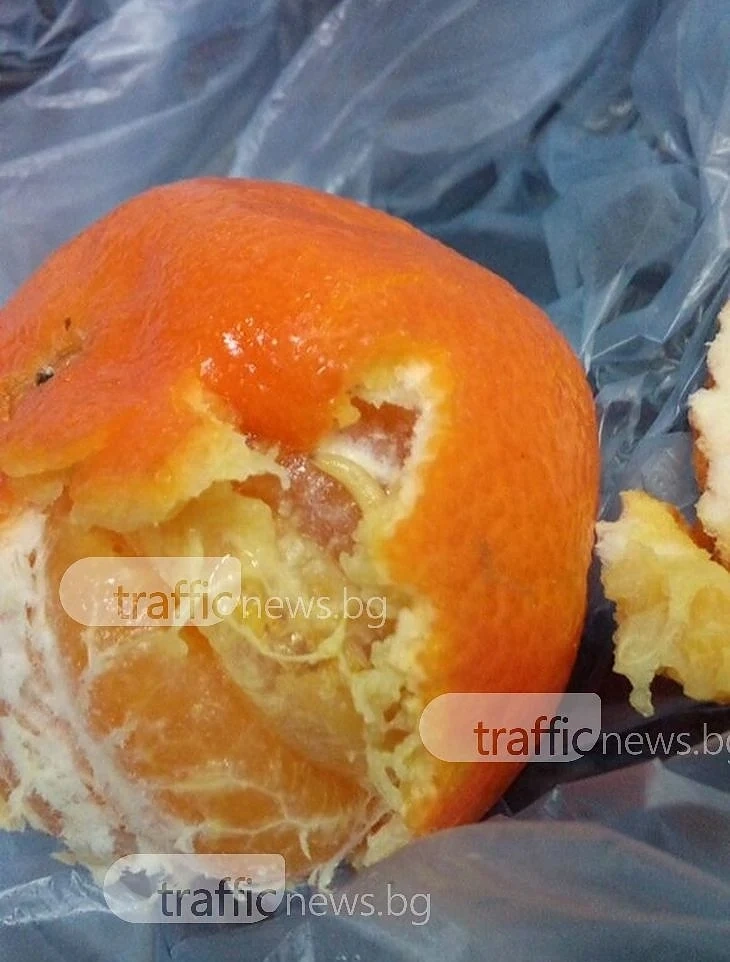 Пловдивчанка си купи мандарини пълни с бели червеи 