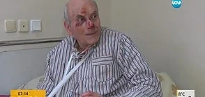 Глутница кучета нападна възрастен човек