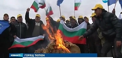 Тютюнопроизводители и животновъди излизат на протест