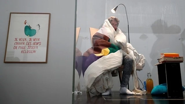Ексцентричен френски творец... мъти яйца в музей 