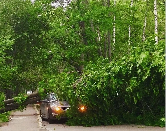 Смъртоносен ураган в Москва взе 7 жертви
