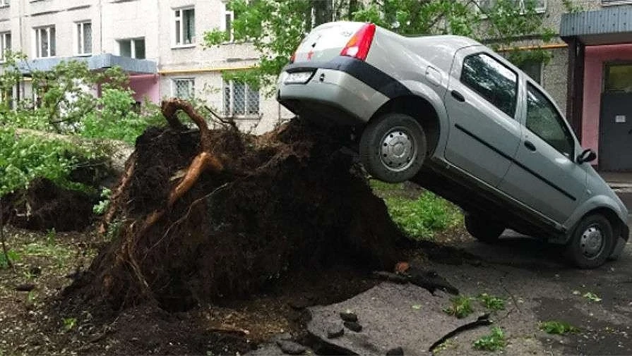 16 са жертвите на урагана в Москва   