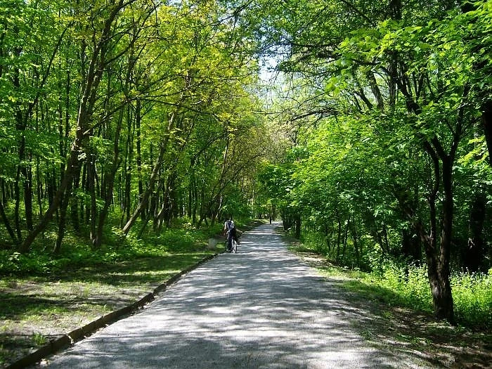 Столична община обновява Западния парк с 8.5 млн. лв.