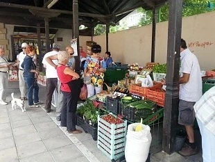 НАП е извършила над 5000 проверки по Черноморието през юли