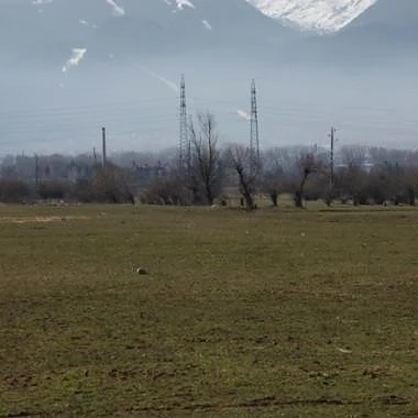 Ограниченията граждани на ЕС да купуват земи у нас отпадат