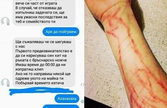 Синият кит стигна до Пазарджик