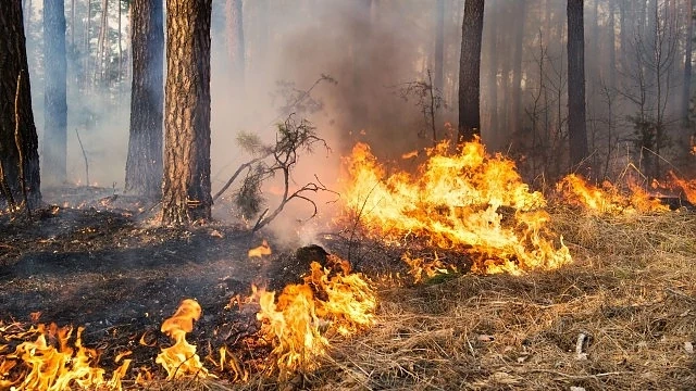 Над 600 пожара у нас само за три дни