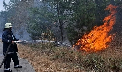 Министерството на горите напомня, че 1000 лв. е глобата за палене на огън в гората