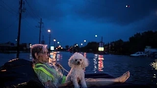  Ураганът Харви наложи затваряне на пътища и летища в САЩ