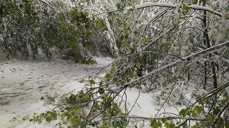 Някои проходи остават затворени, АПИ препоръчва: Карайте със зимни гуми