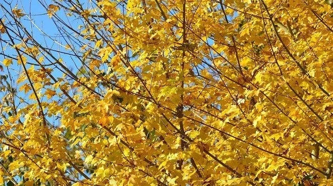 Слънчево и с температури до 17 градуса днес