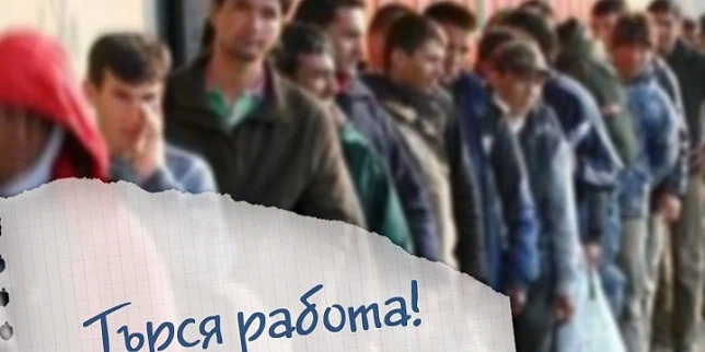  Безработни започнаха работа с помощта на мобилни екипи
