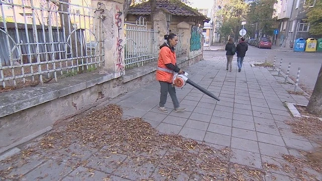 Защо събират така усърдно падналите листа в София и какво правят с тях