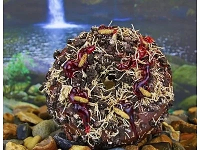 Шоколадови понички, посипани със скакалци - хит в Англия