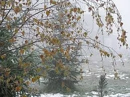 Вижте времето за уикенда