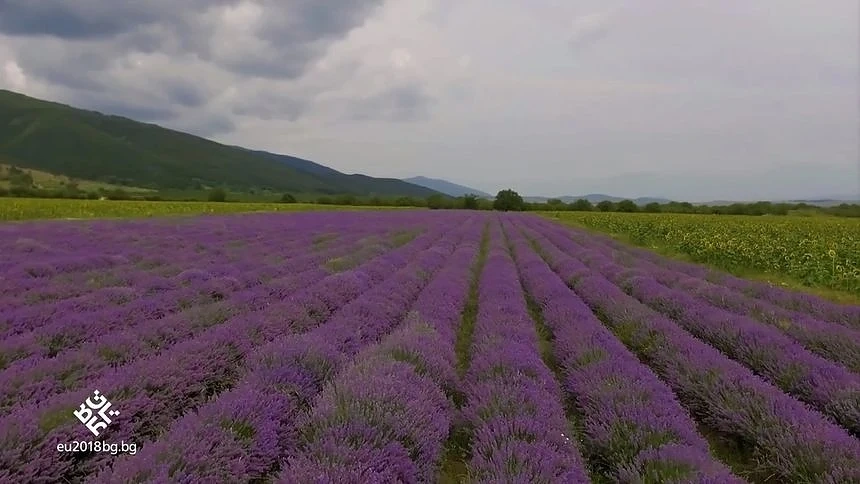 България е \
