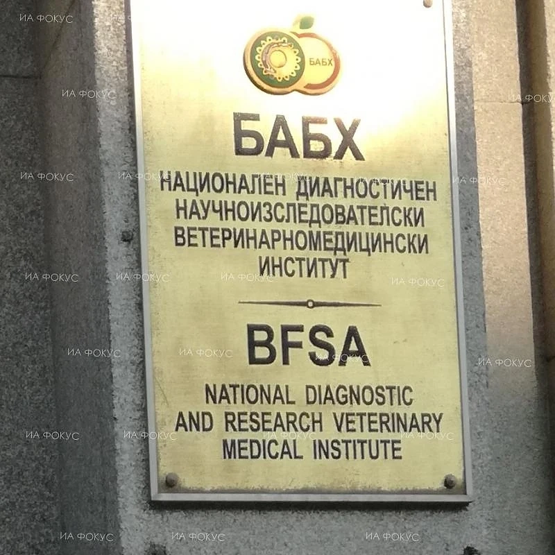 БАБХ извърши над 3 хиляди проверки за Великден