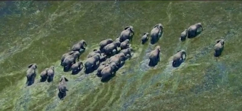 Росатом и National Geographic представиха филми за уникалните кътчета на планетата