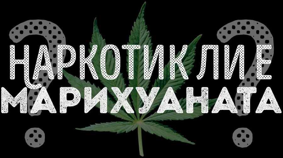 Наркотиците в Европа: все повече, все по-достъпни, все по-смъртоносни