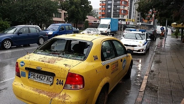 Улици като реки и премазани от дървета коли в Пловдив