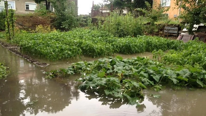 Мизия под вода: обявиха бедствено положение