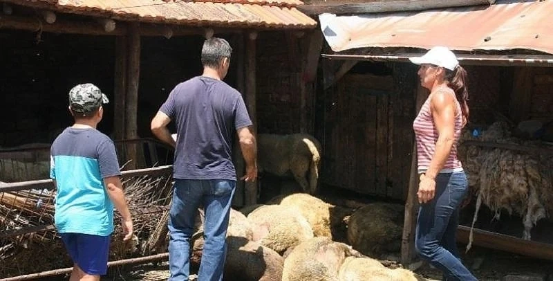 Забраняват се обществени прояви на местата с огнища на чума