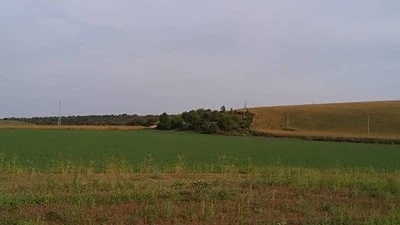 До 10 000 лева глоба за запалена нива