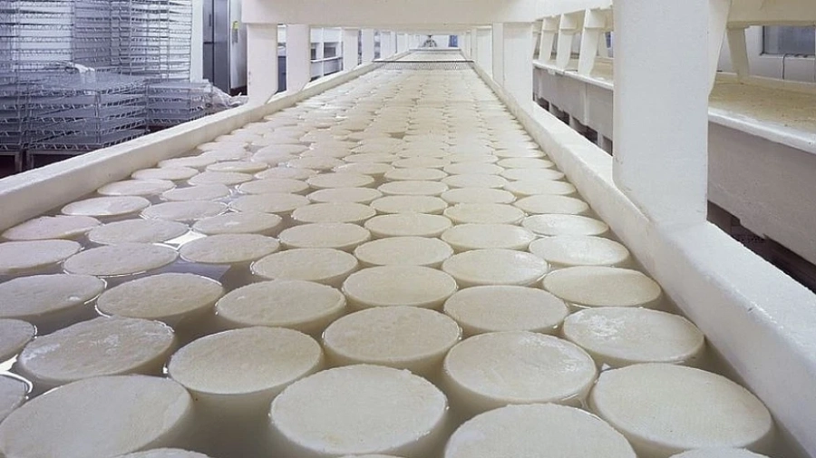 Производители искат пълна забрана на млечни продукти с палмово масло