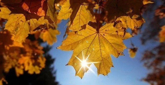 Слънчево и топло време във вторник
