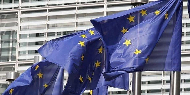 Измамници с подправени дипломи работили в ЕК 8 години