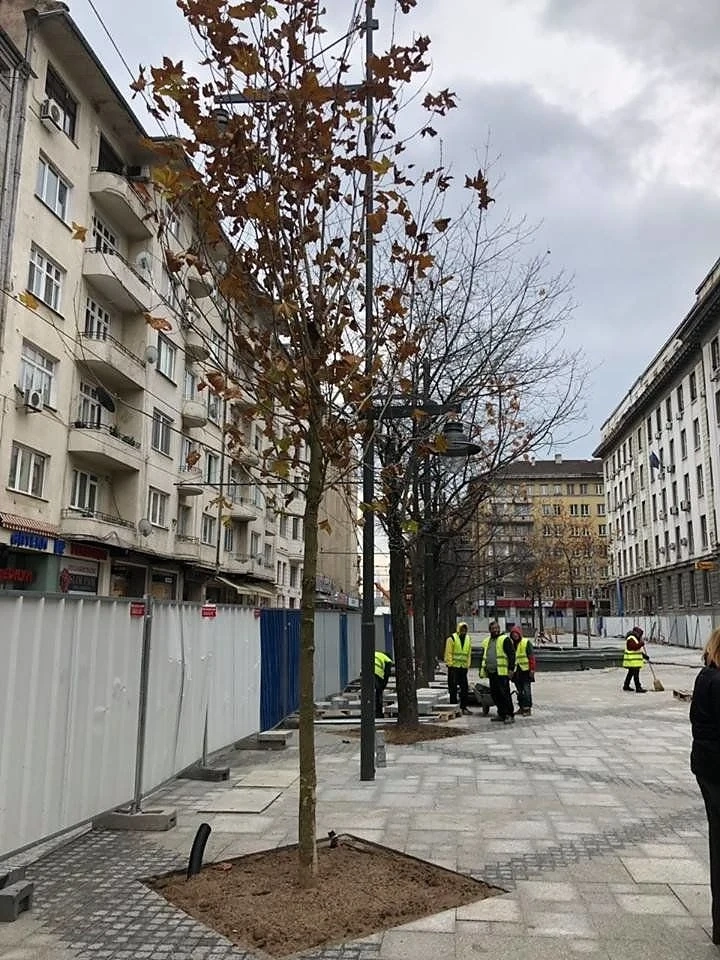 Пускат пробно трамвая по Графа в сряда 