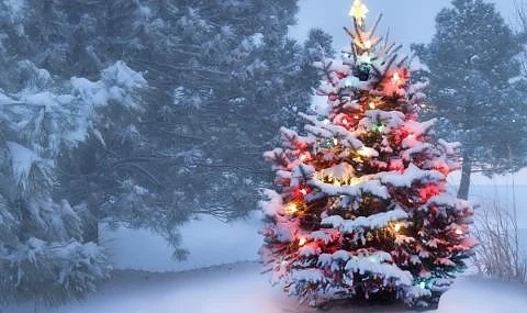 Ето кога ще вали сняг през декември. Чака ли ни бяла Коледа?