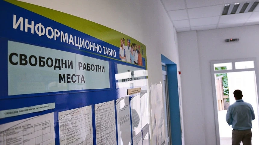  Всеки трети от самостоятелно заетите в България е много доволен от работата си