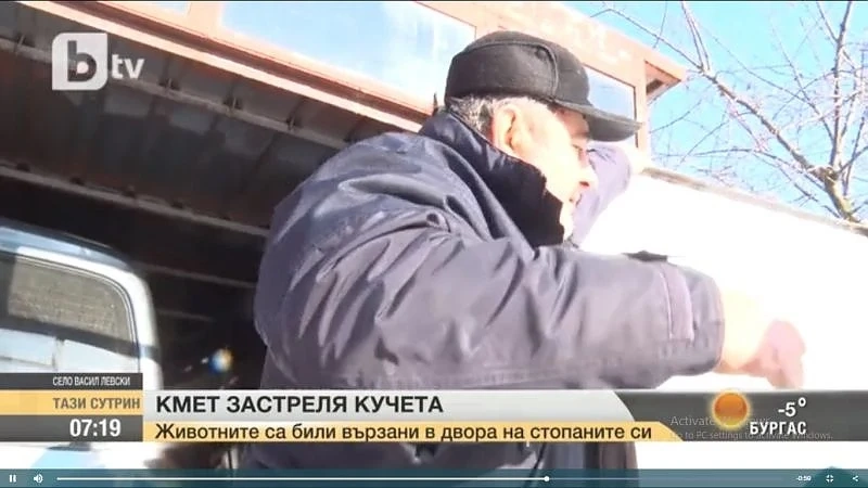 Разследват селски кмет, застрелял две кучета
