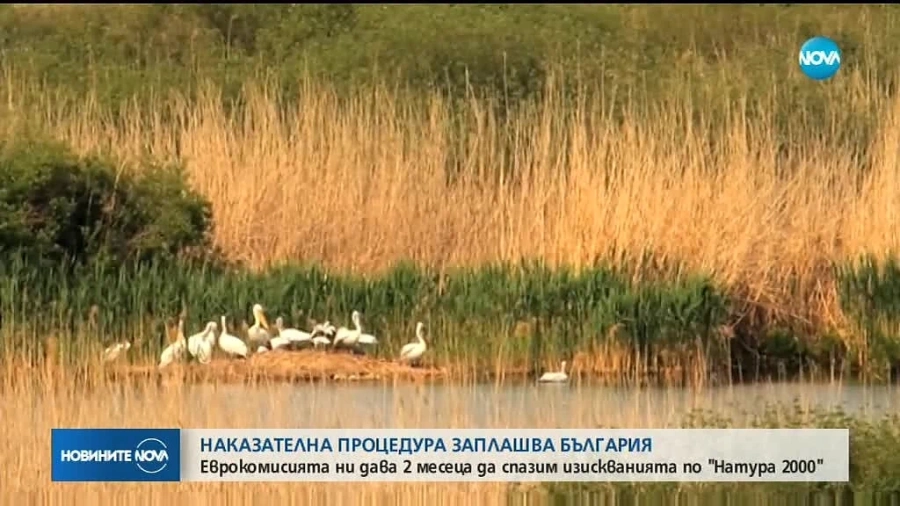 ЕК ни дава два месеца да спазим \