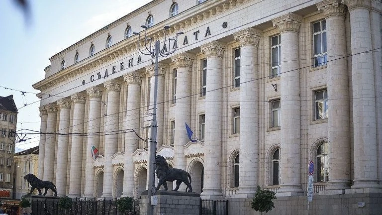 Шествие по Витошка в защита на Лозан Панов и правото