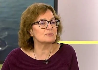 Румяна Коларова: Путин иска тръбата да стигне до Сърбия и му е най-лесно да го направи през България