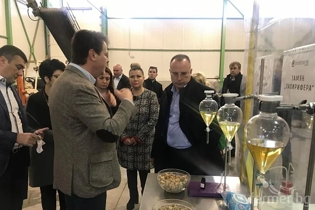 Американци правят у нас нова мощна дестилерия за лавандула
