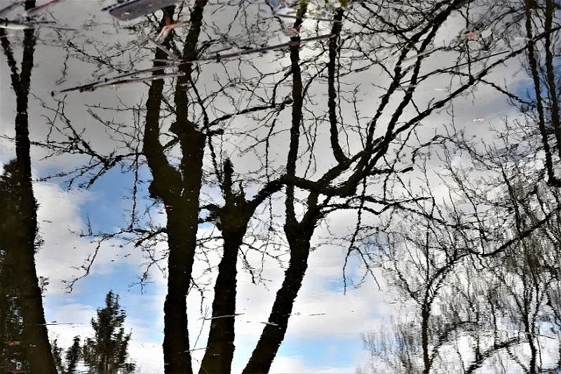 Слънцето ще наднича само в Западна България, валежите продължават