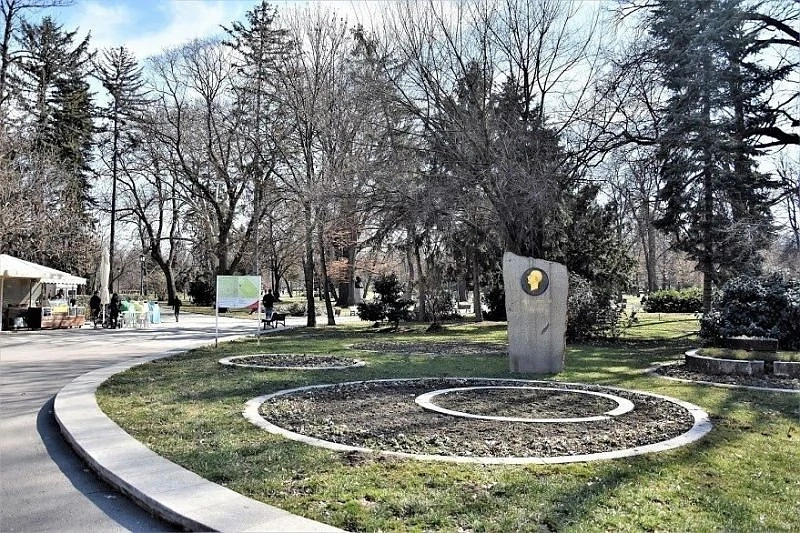 Еднакви пейки в Борисовата, покриват алеите с щуп настилка