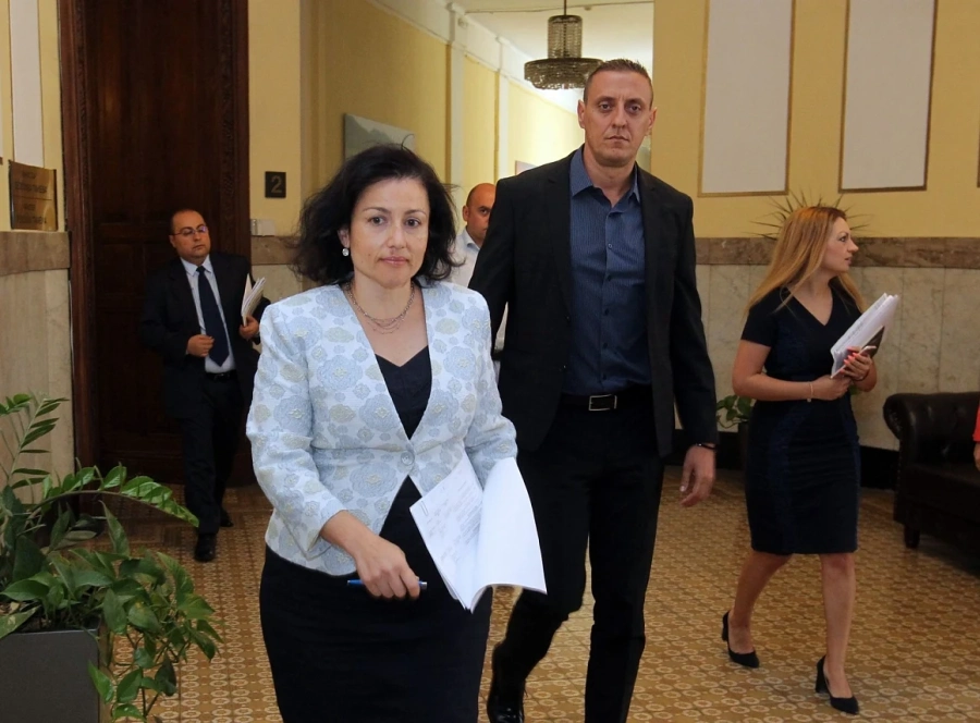 Десислава Танева: Целият сектор свиневъдството е под огромна заплаха