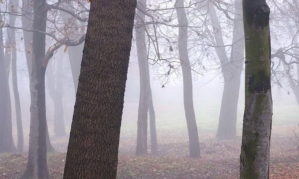 Слънчево и по-топло в планините, мъгли на много места в страната