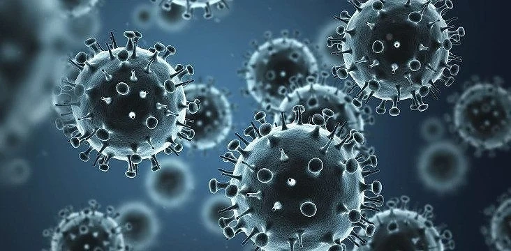 Грипните ваканции започнаха, затвориха училищата в Хисаря