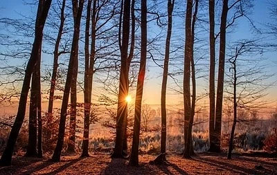 Слънчево с температури до 13 градуса