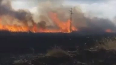 Пожарът в Орловото блато е овладян