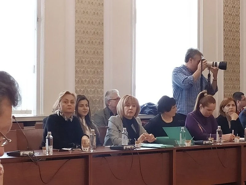 Манолова: Предстои увеличение на тока със 7 лева на мегаватчас