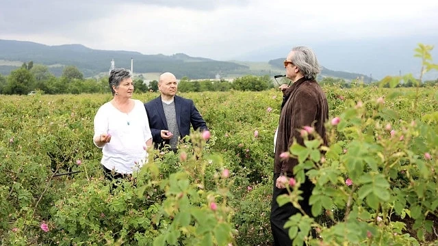 Американци вдигат розоварна в Старосел