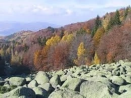 От неделя разрешават разходките на Витоша